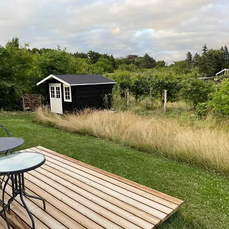 Strand, North Sealand - Middle Of The Summer Country Vejby